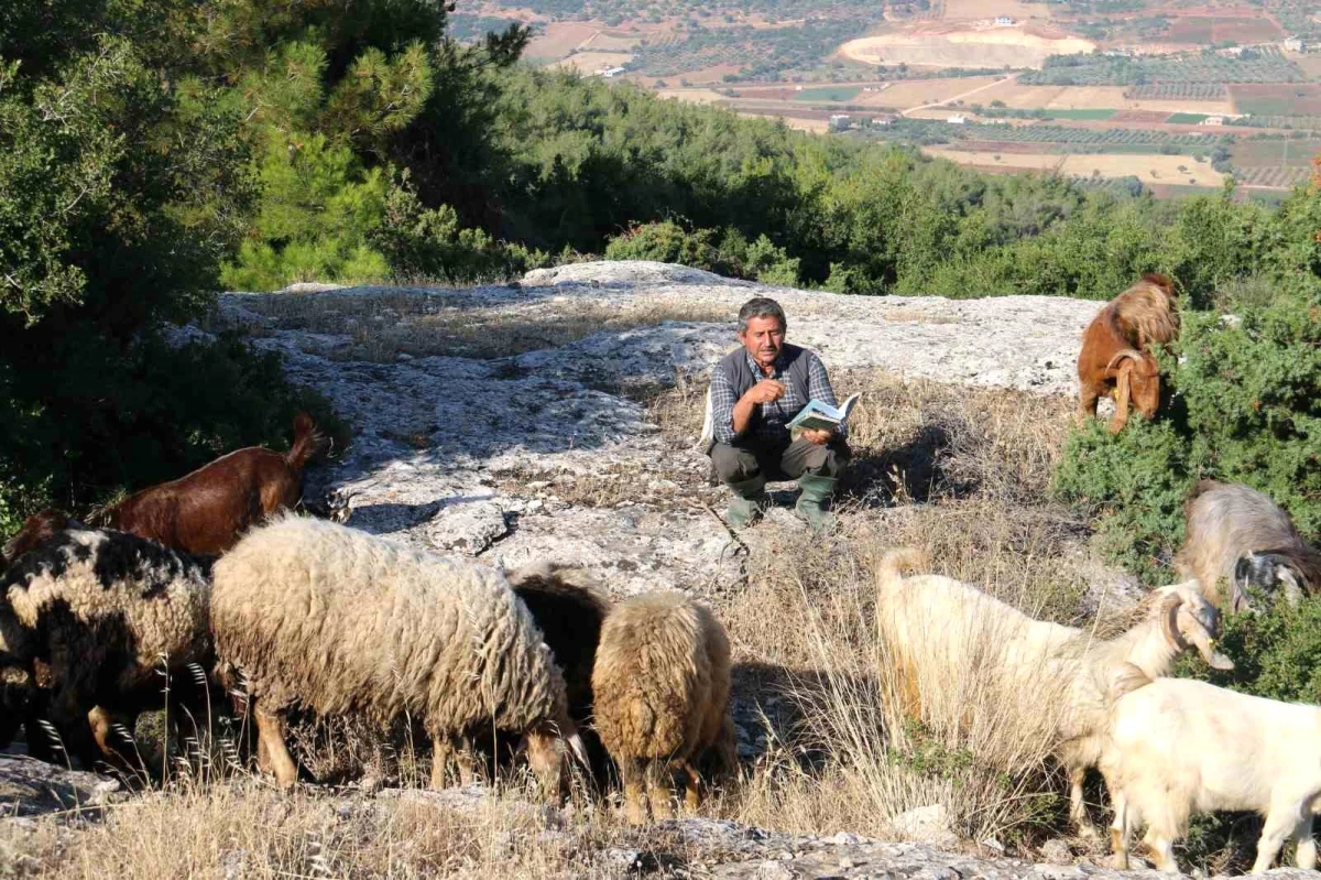 cobanlik-yapan-sair-vehbi-gulenden-siir-kitabi-FdU6NNFj.jpg