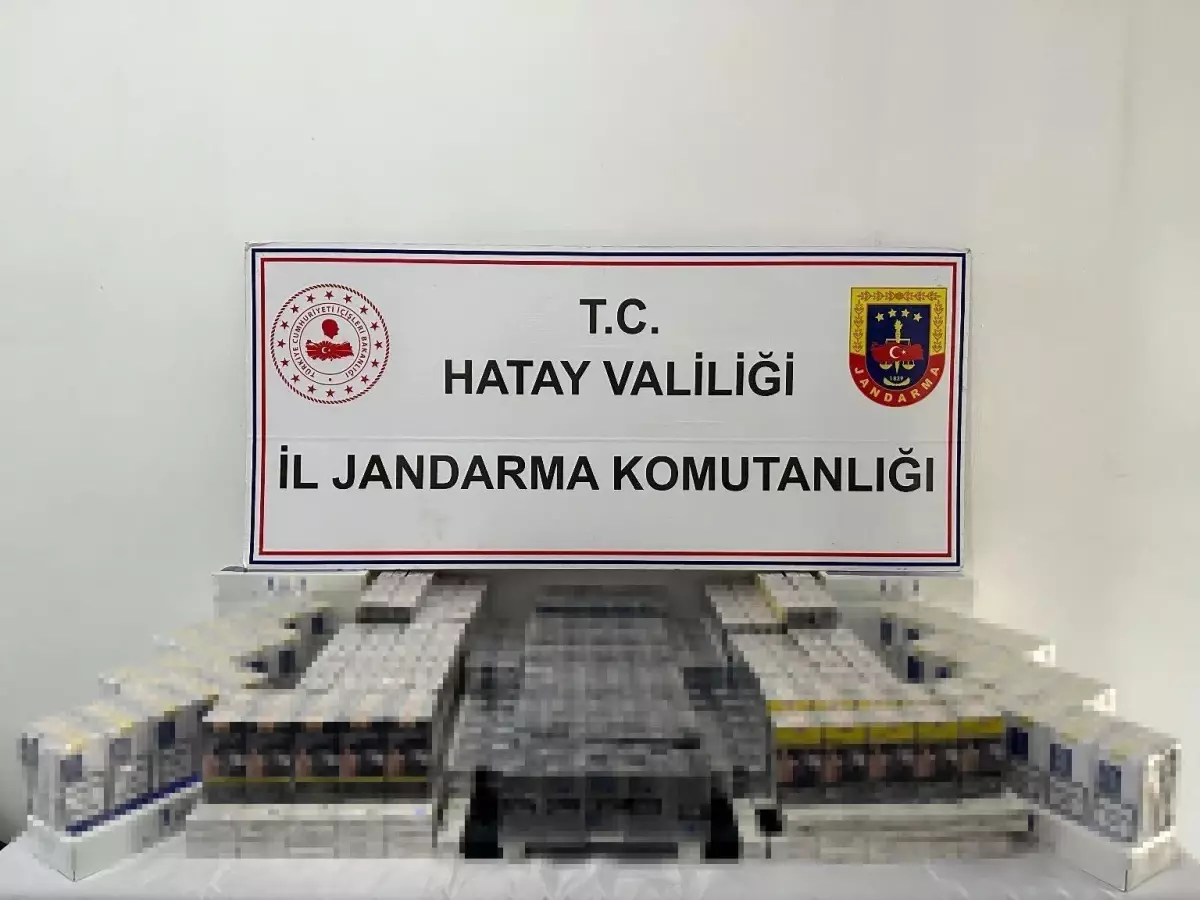 hatayda-4-kilo-esrar-ve-5-ruhsatsiz-tabanca-ele-gecirildi-Y66iMcM3.jpg